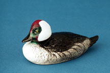 Bufflehead Bottle Opener