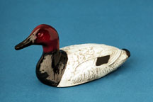 Canvas Back Duck Bottle Opener