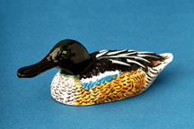 Northern Shoveler Bottle Opener