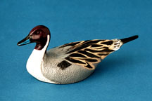 Pintail Bottle Opener